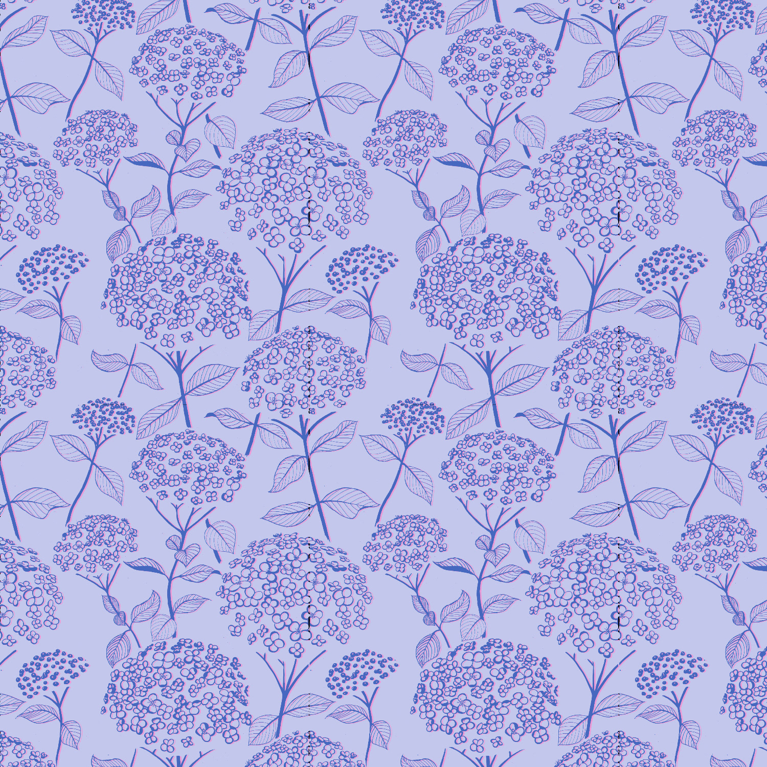 Hydrangea
