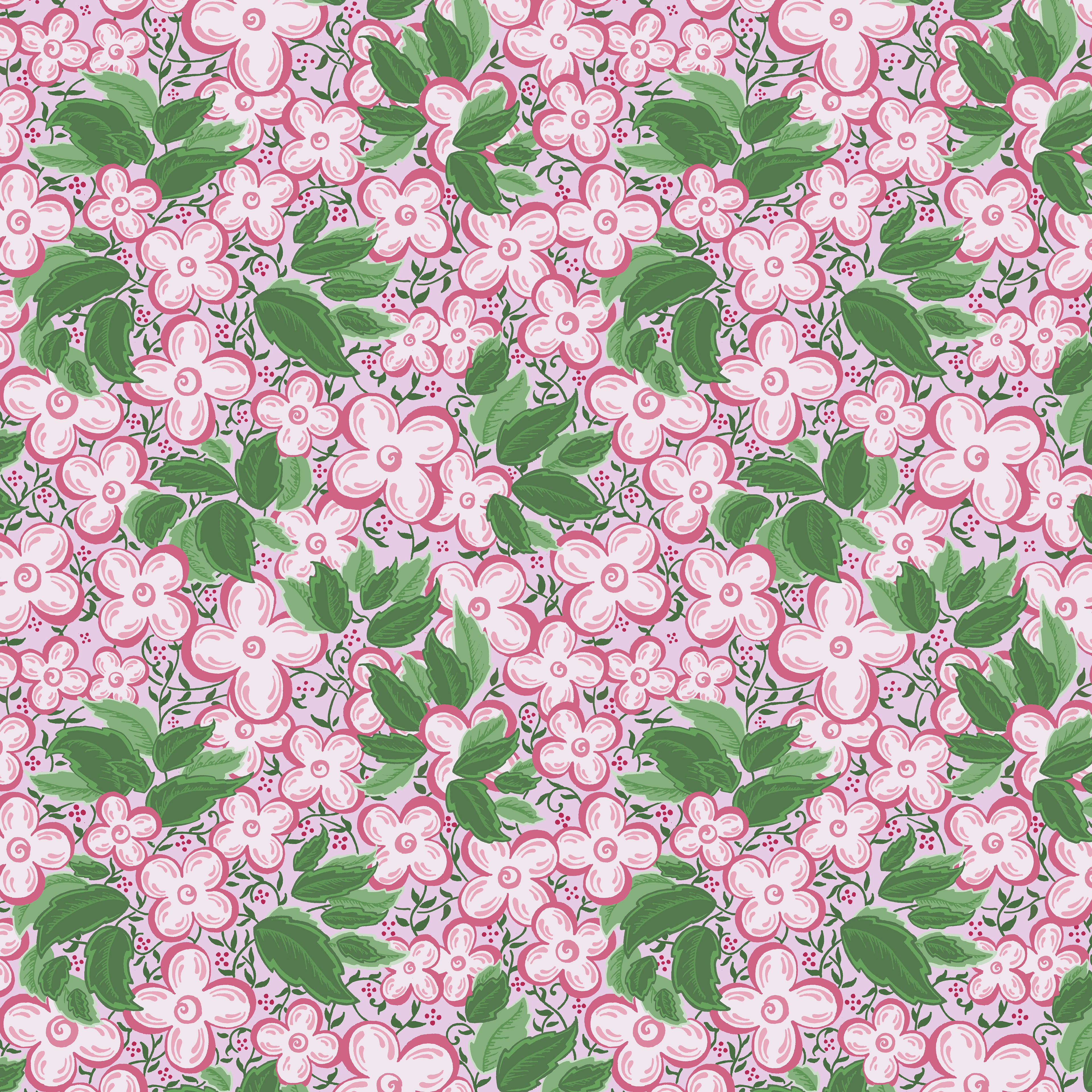 Pacific Dogwood
