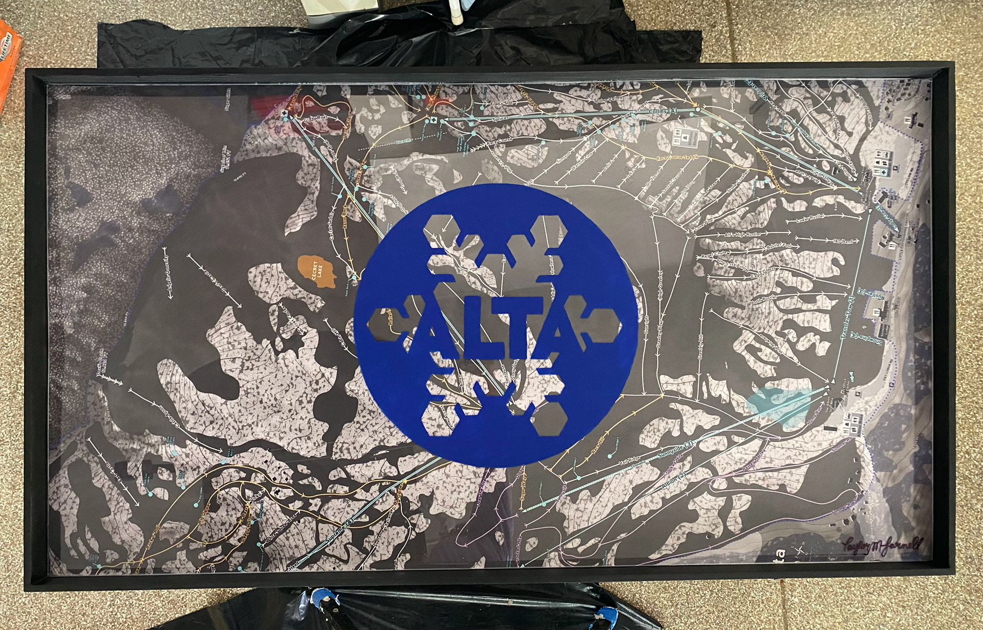 Alta 5'x3'