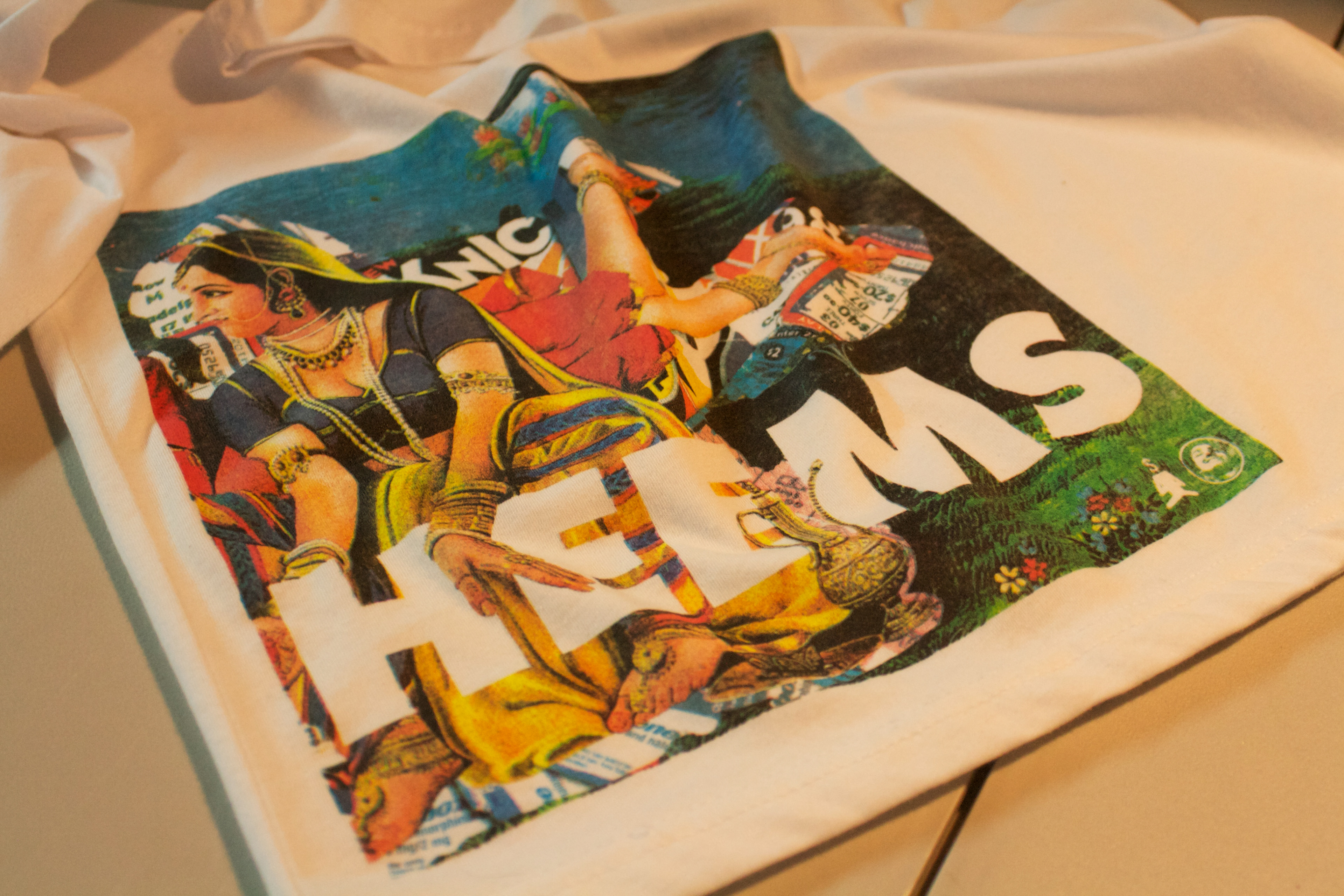 HEEMS