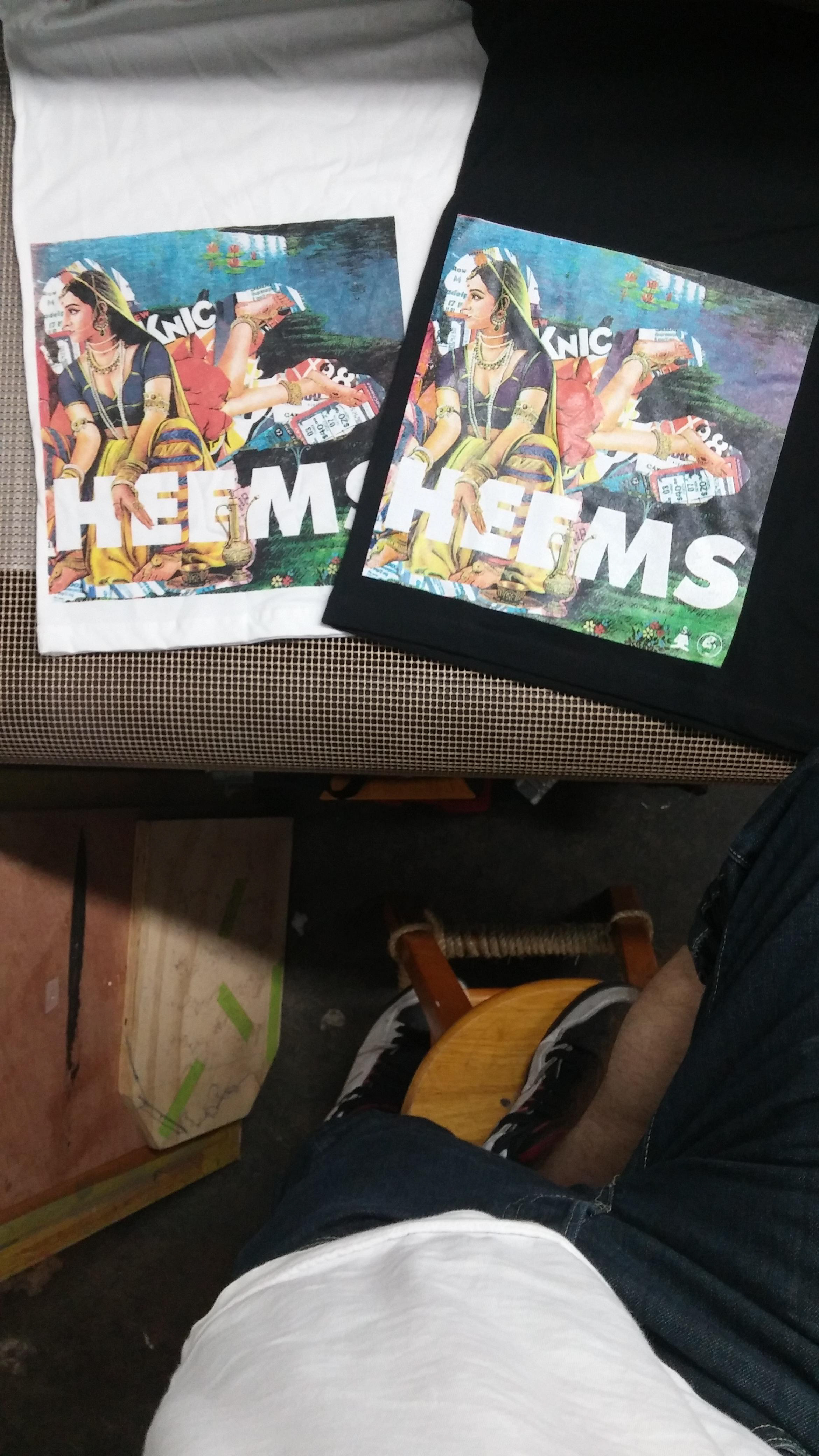 HEEMS
