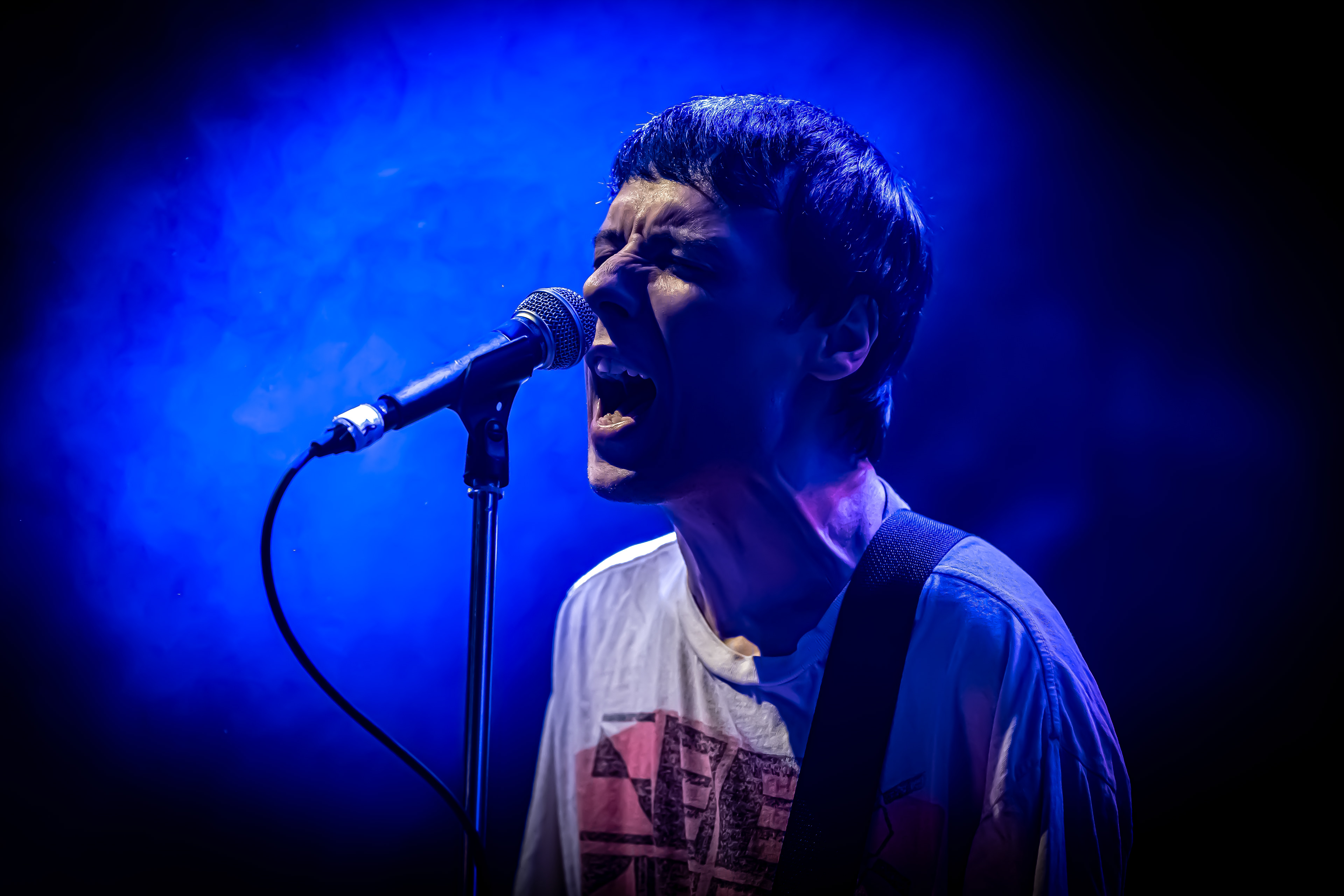 The Cribs