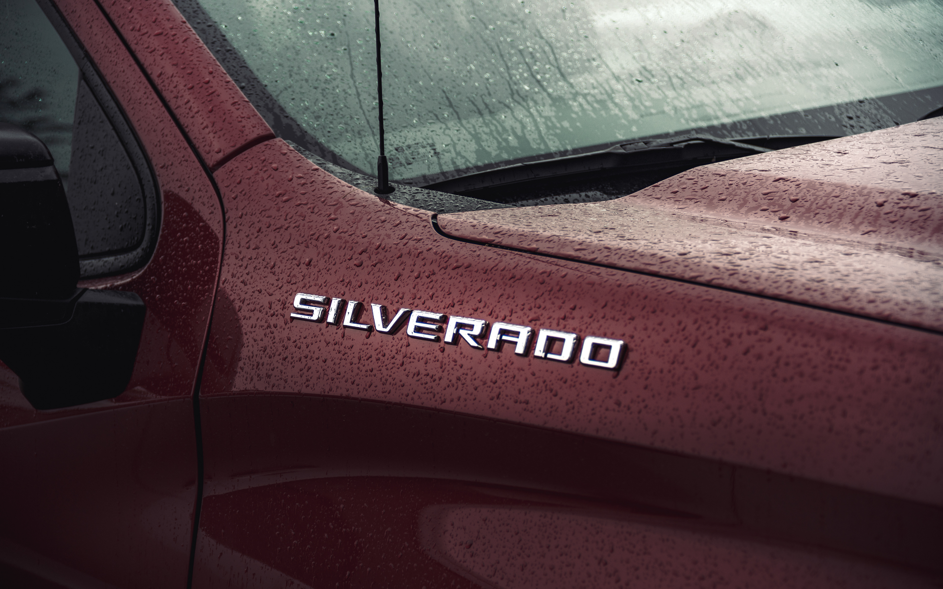 A truck and its logo badge in the rain.