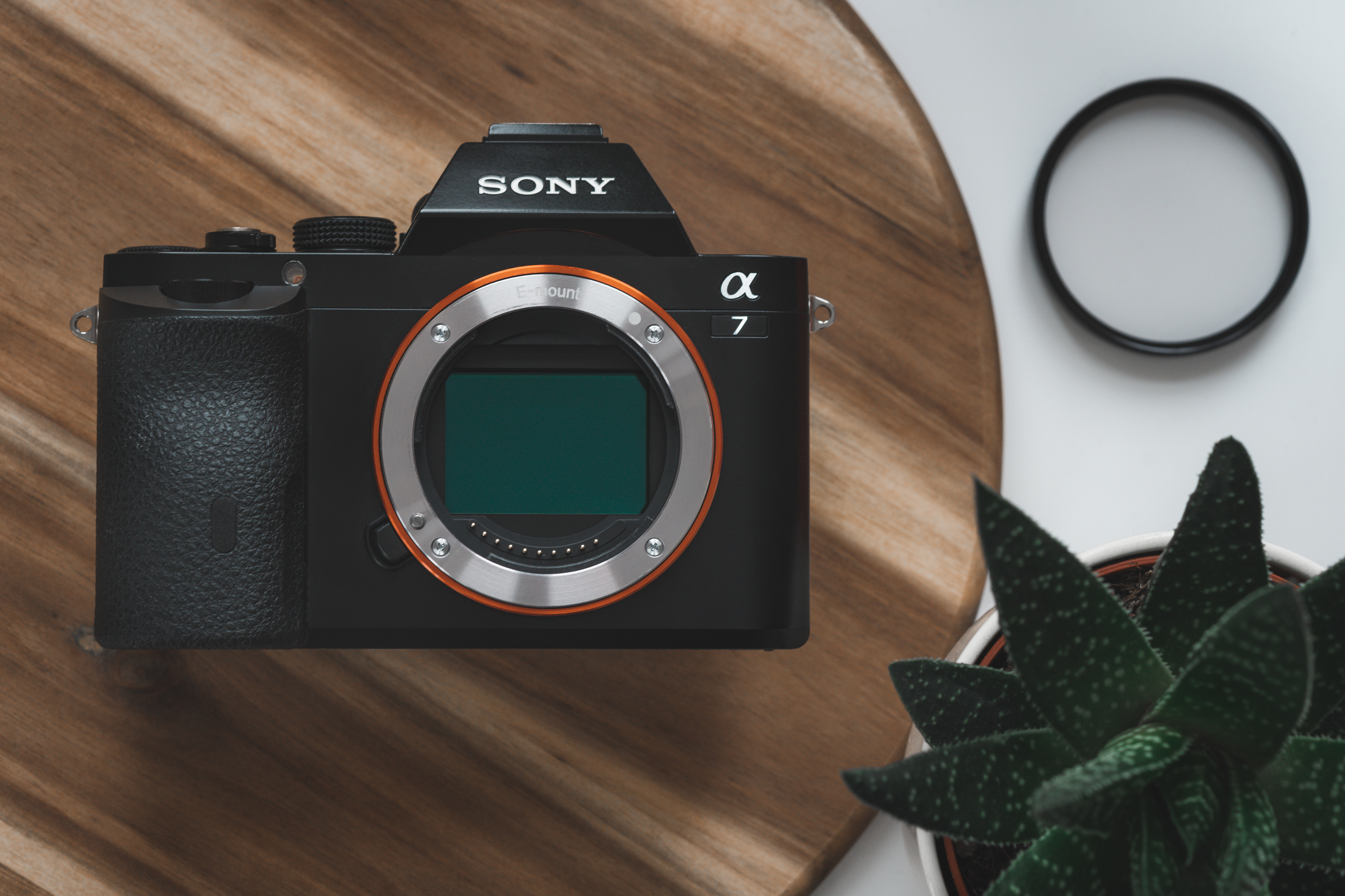 Sony A7