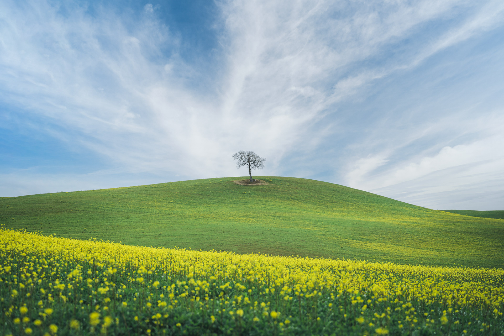 Val d'Orcia 2023