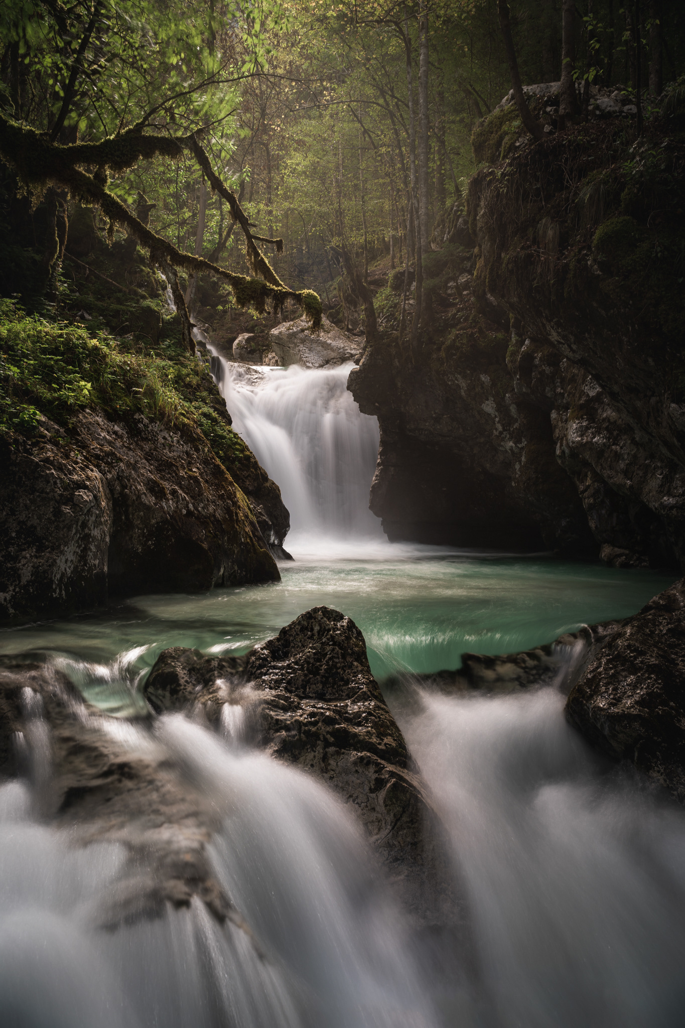 Šunikov vodni gaj 2022