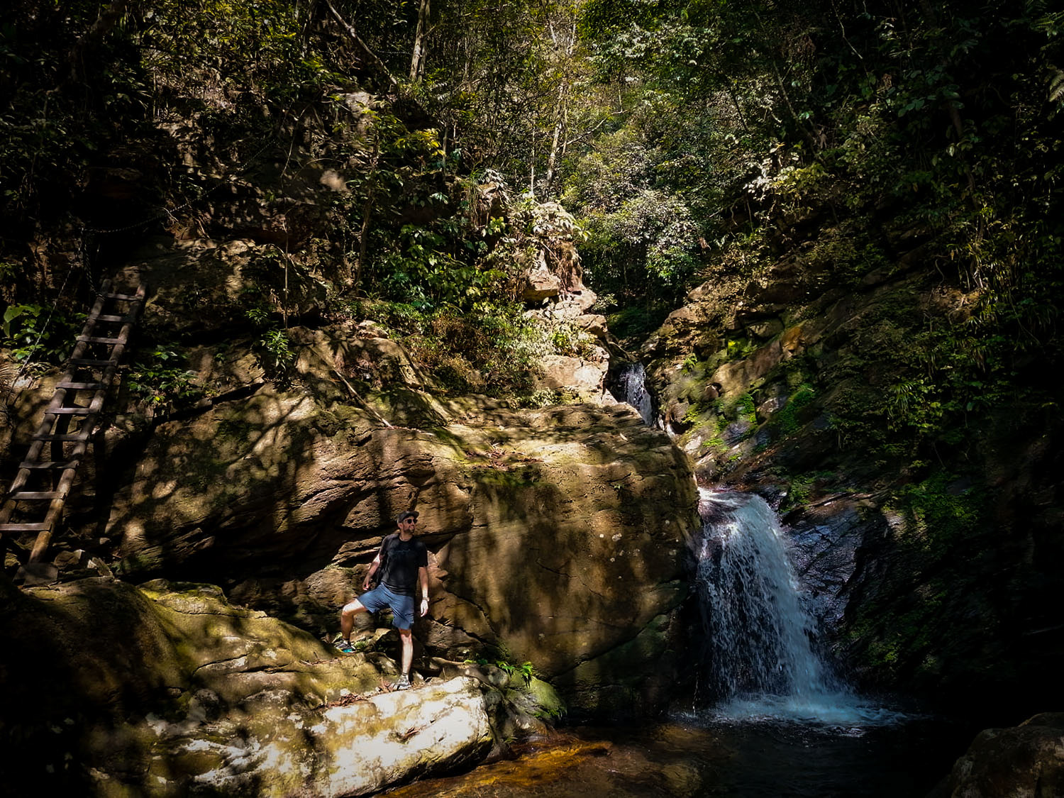 Im Bạch Mã-Nationalpark.