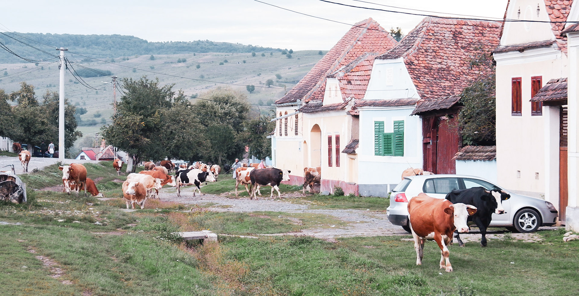 Viscri, Romania