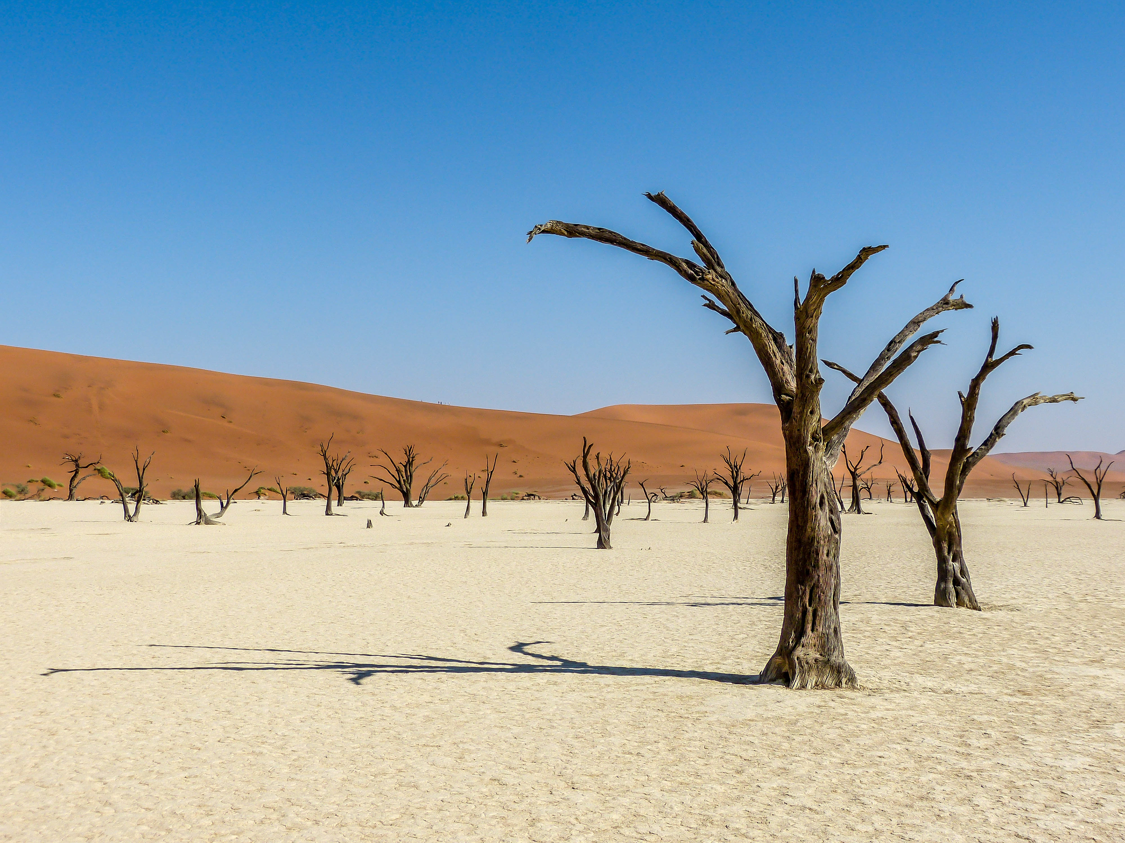 Namib Naukluft Park, Namibia 2017