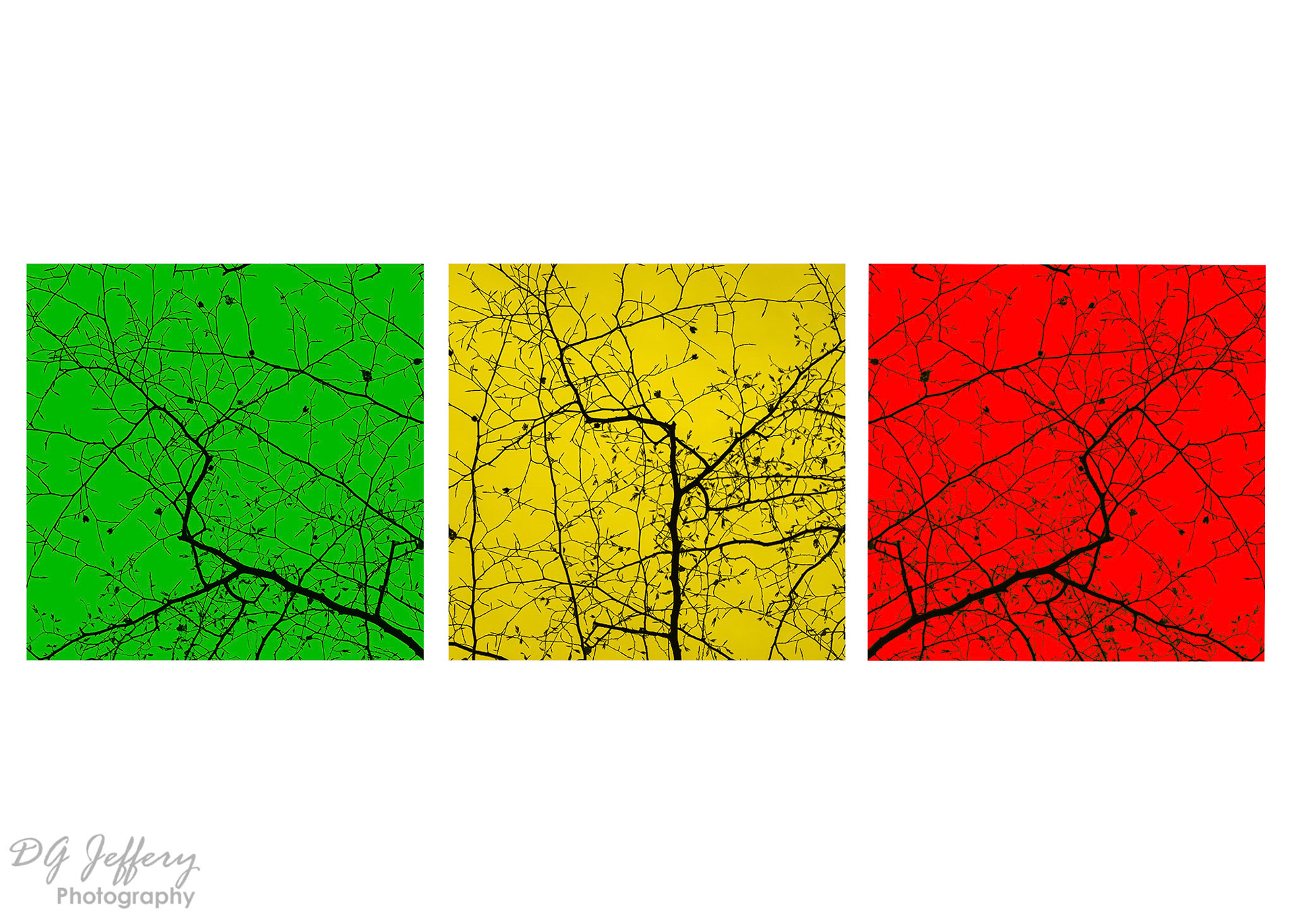 Primary Trees