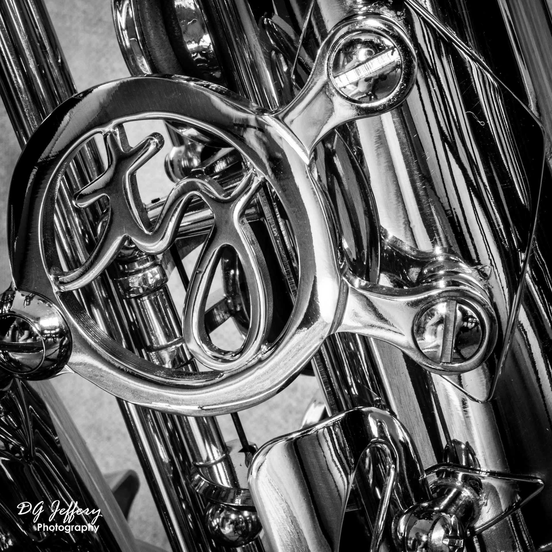 Trevor James SR Evo Alto Saxophone