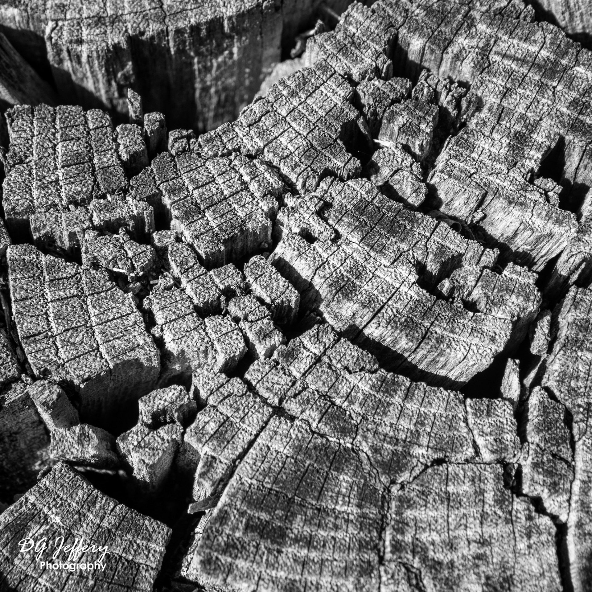 Old Wood