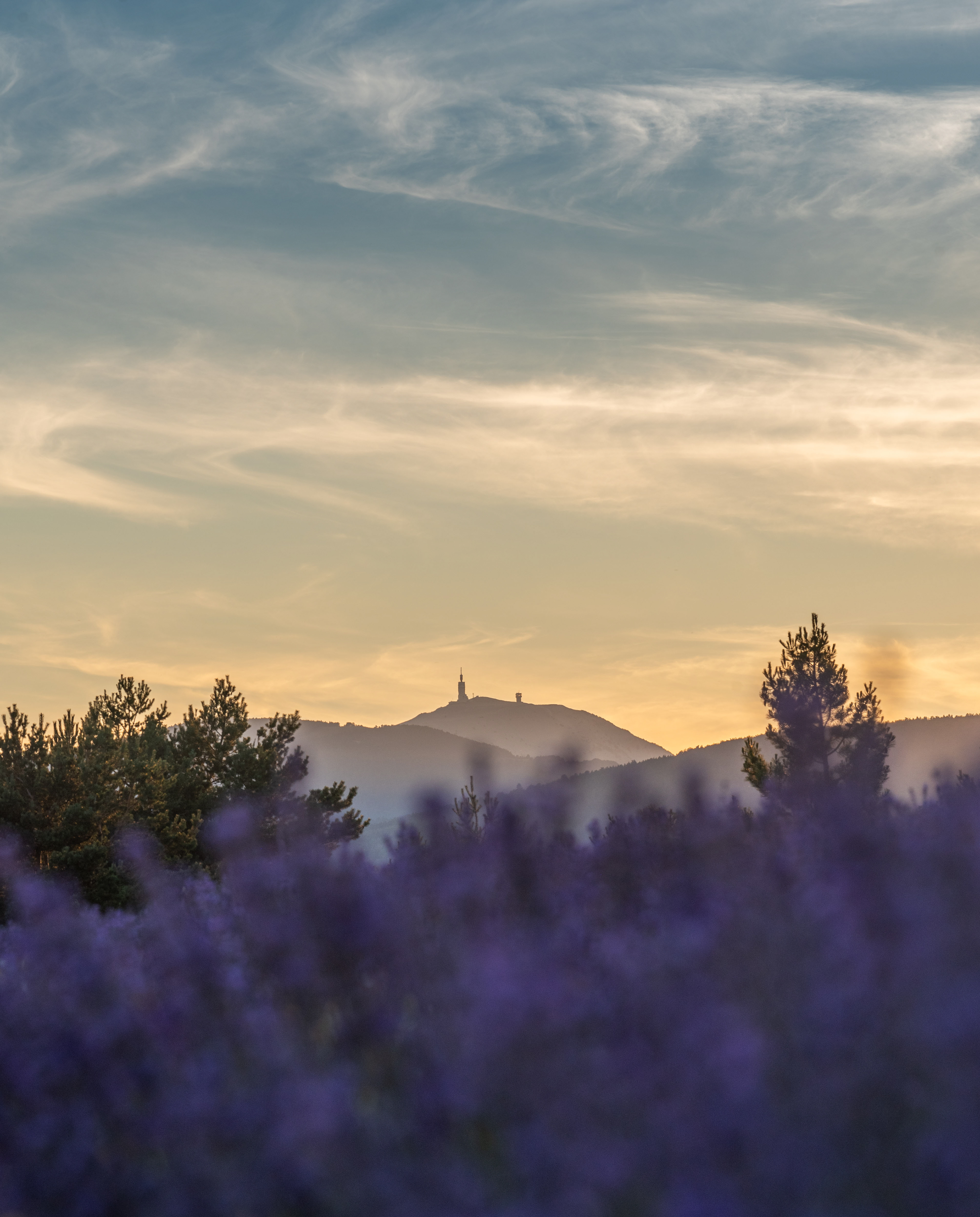 une province nommée Provence (84, Vaucluse)