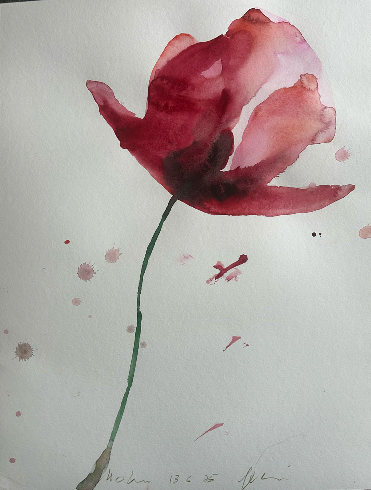 Mohn, Aquarell, 56x48cm,2025