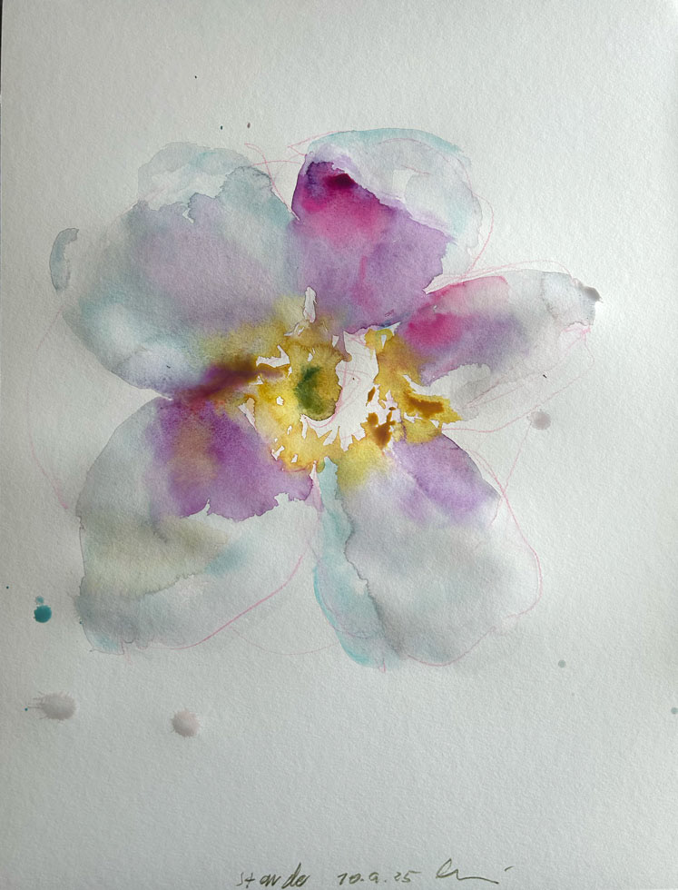 Staude, 56x48cm, 2025