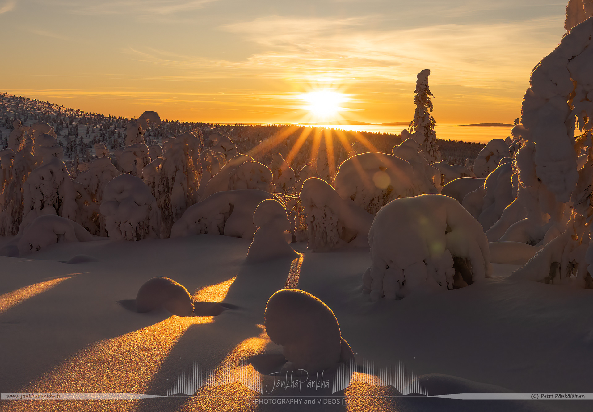 End of polar night in Lapland with a beautiful sunset and trees with crown-snow load