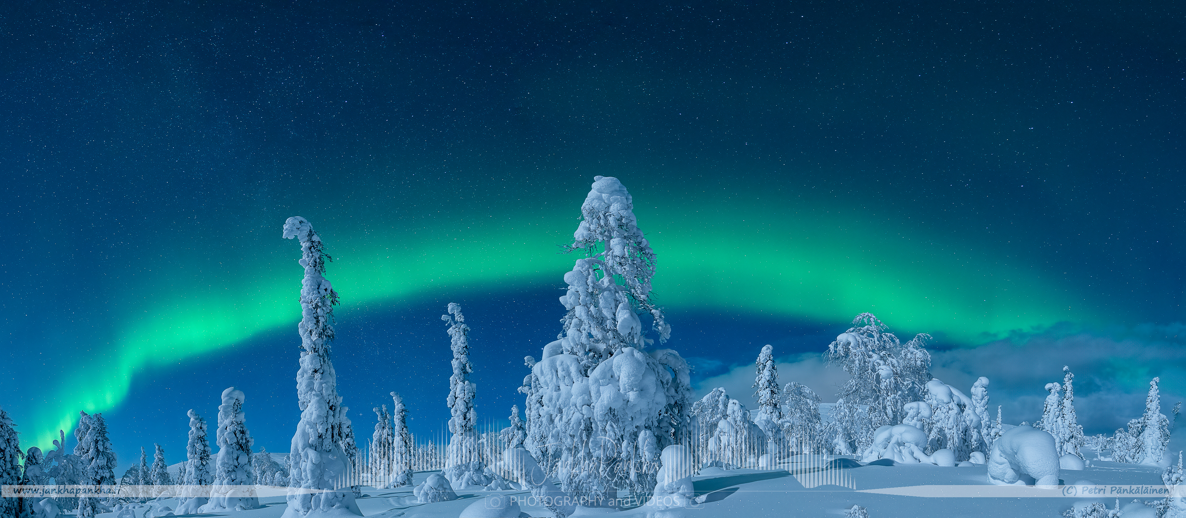 Northern lights over the snowy fell and forest in Lapland., Finland. 
