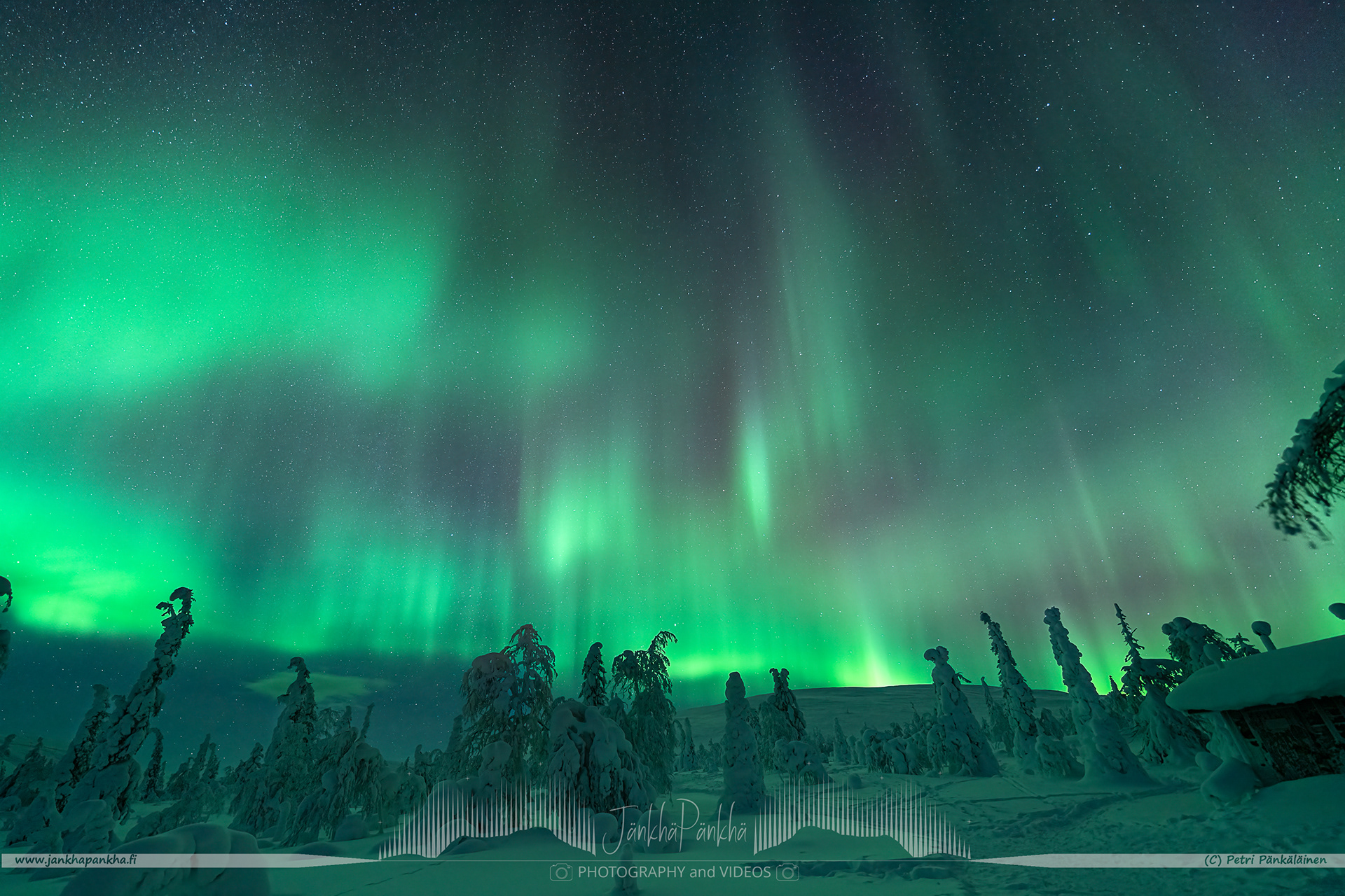 Northern lights over the snowy fell of Pallastunturi and forest in Muonio, Finland. 