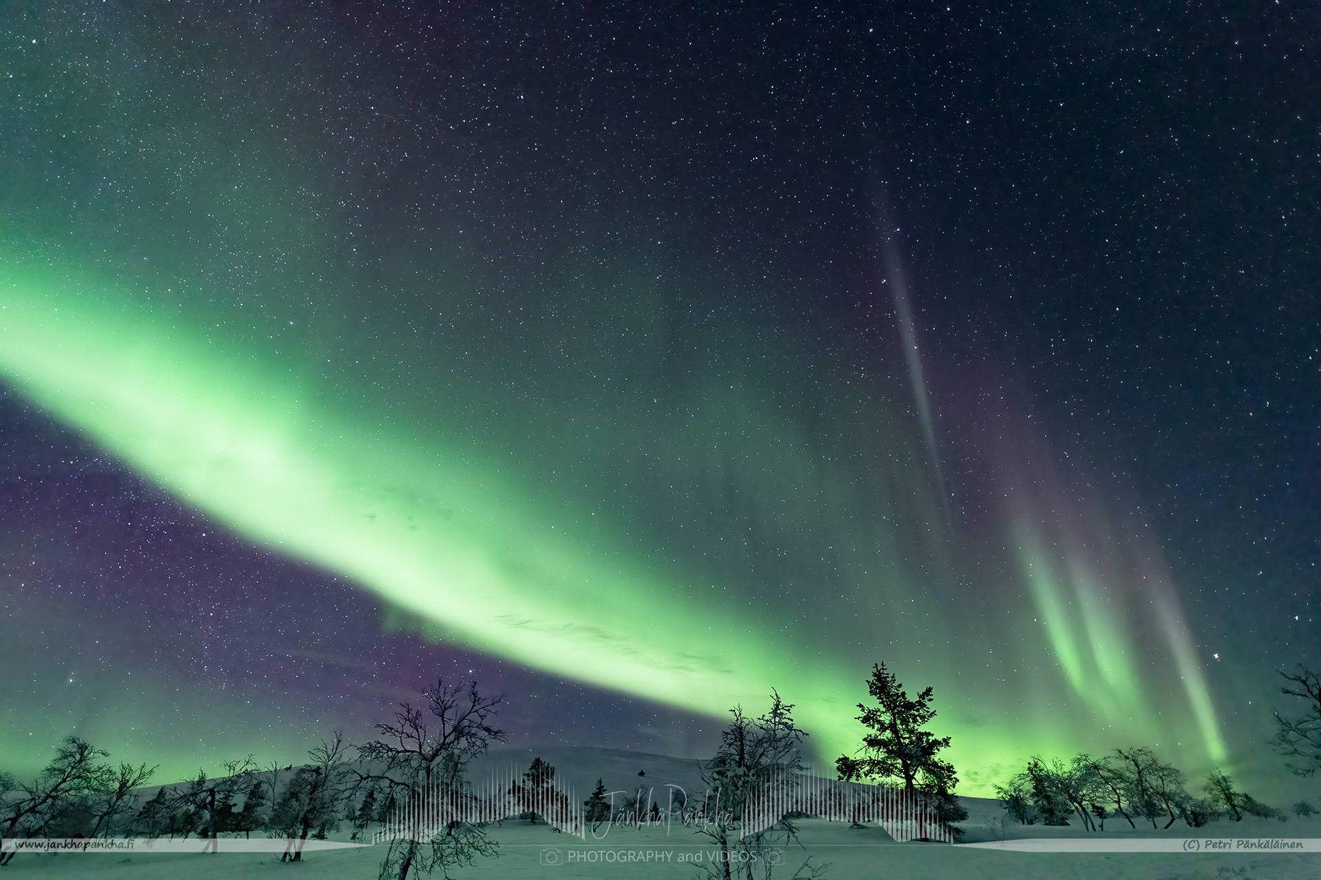 Northern lights over the snowy fell and forest in Lapland., Finland. 