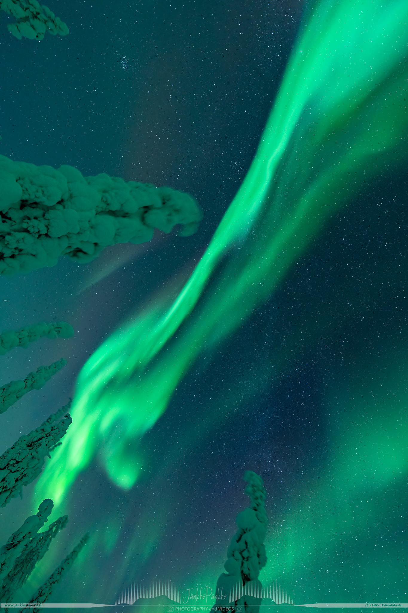 Aurora Borealis over the snowy fell of Lommoltunturi and candle spruce forest in Muonio, Finland. 