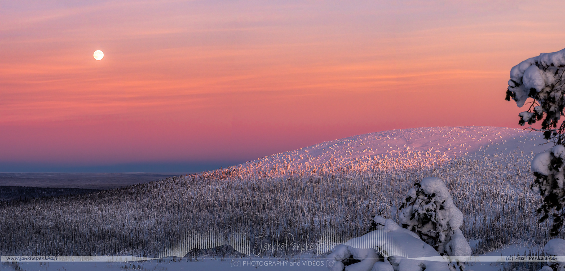Majestic fells and candle spruces coated with crownsnow under a pastel sunset in Lapland's Pallas-Yllästunturi.