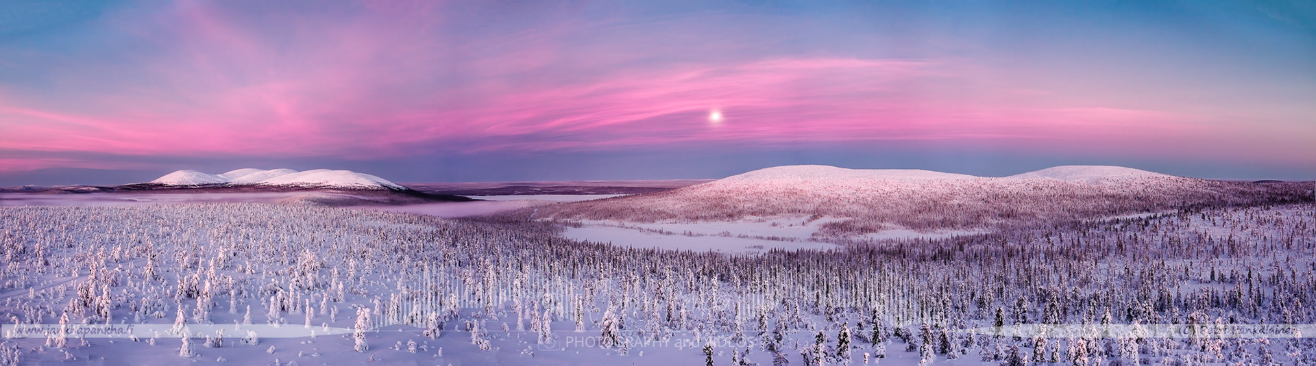 Pastel shades of a winter sunset illuminating the snow-covered fells and candle spruces in Lapland's Pallas-Yllästunturi.