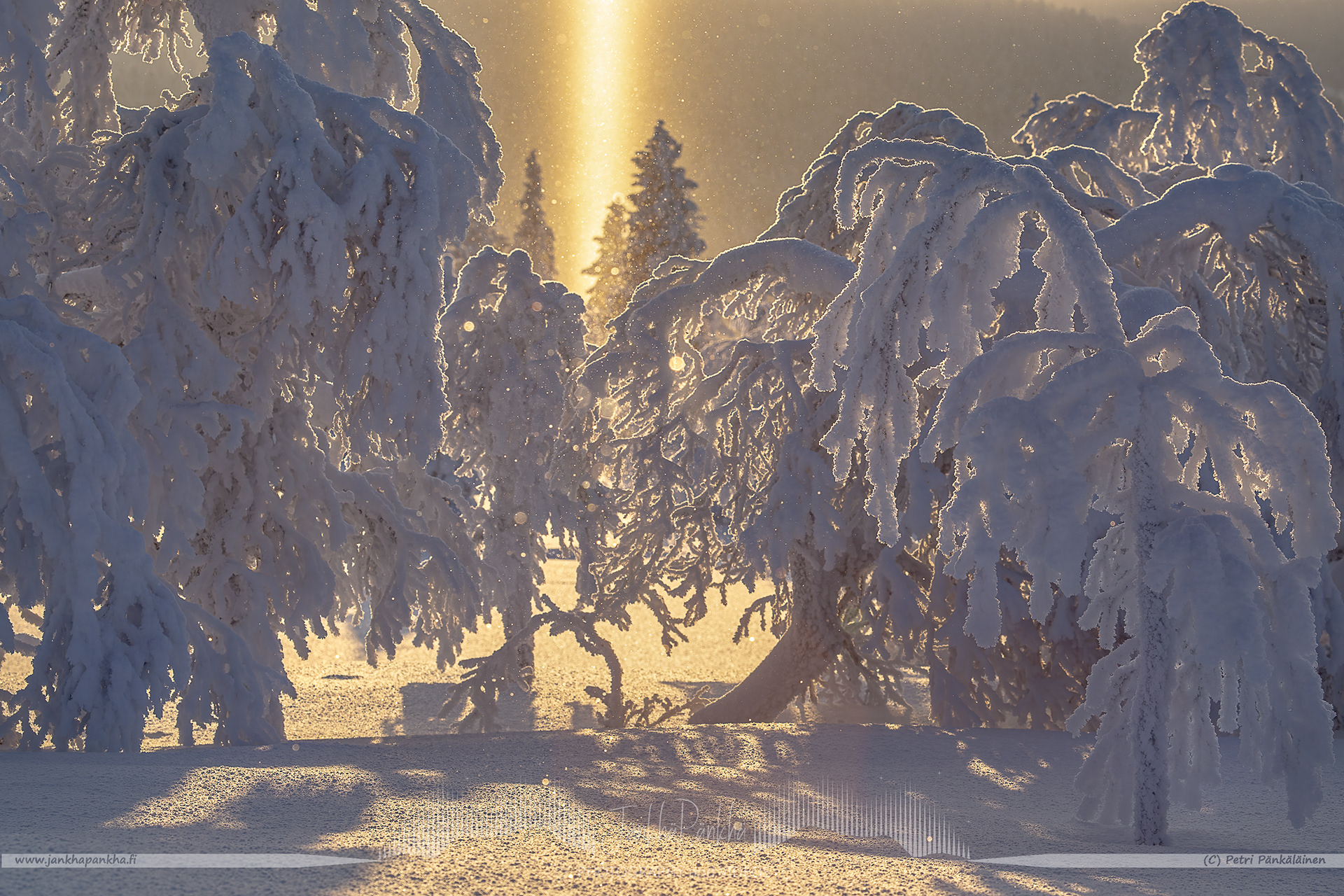 Snowflakes and icy crystals forms golden bubbles during the sunset in Kaunispää, Saariselkä