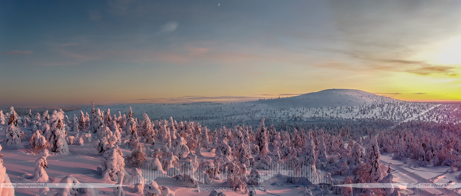 Pastel-colored skies and snow-covered landscapes during a polar night in Pallas-Yllästunturi National Park, Finland