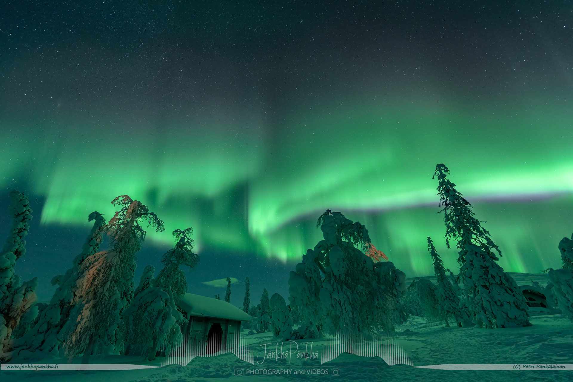 Northern lights over the snowy fell of Pallastunturi and forest in Muonio, Finland. 
