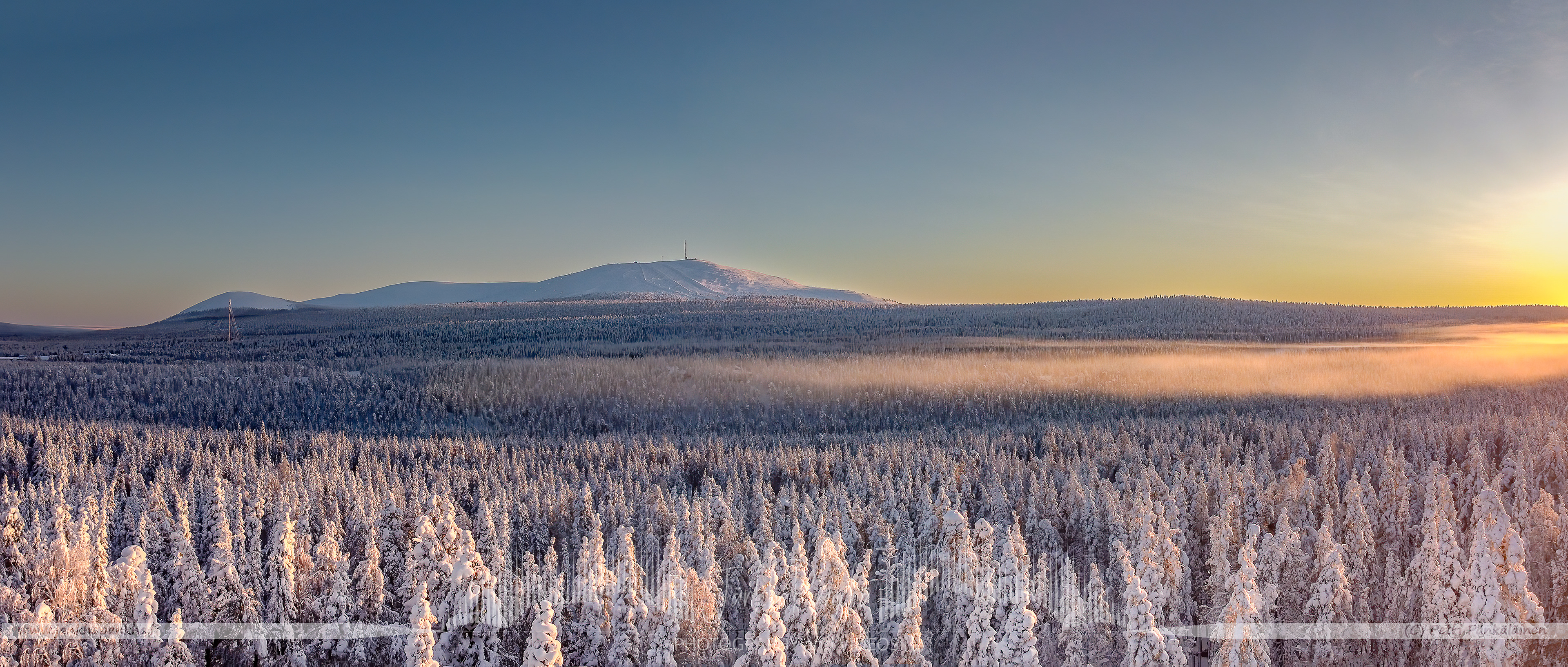Candle spruces adorned with crownsnow under a breathtaking sunset from Kuertunturi fell in Pallas-Yllästunturi National Park, Finland.
