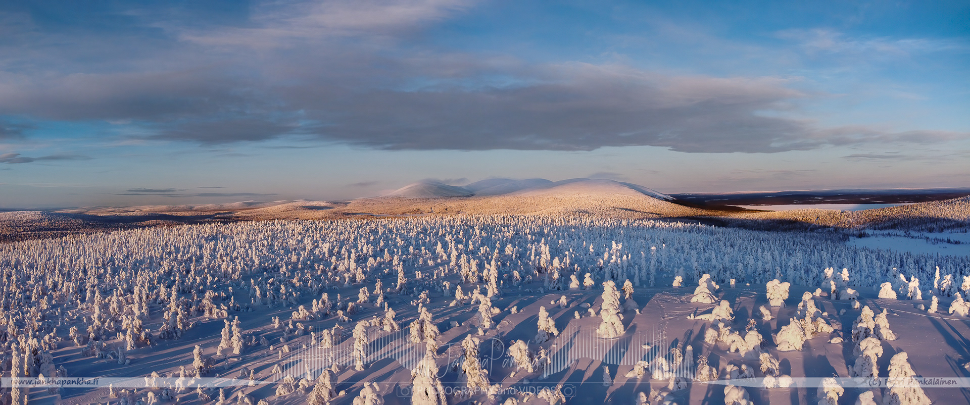 Majestic fells and candle spruces coated with crownsnow under a pastel sunset in Lapland's Pallas-Yllästunturi.