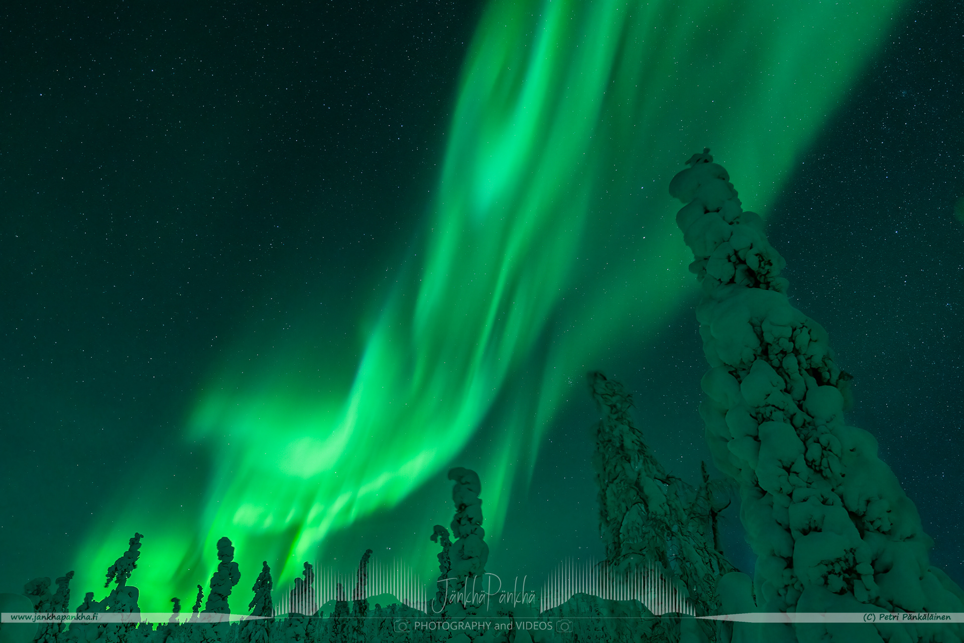 Aurora Borealis over the snowy fell of Lommoltunturi and candle spruce forest in Muonio, Finland. 