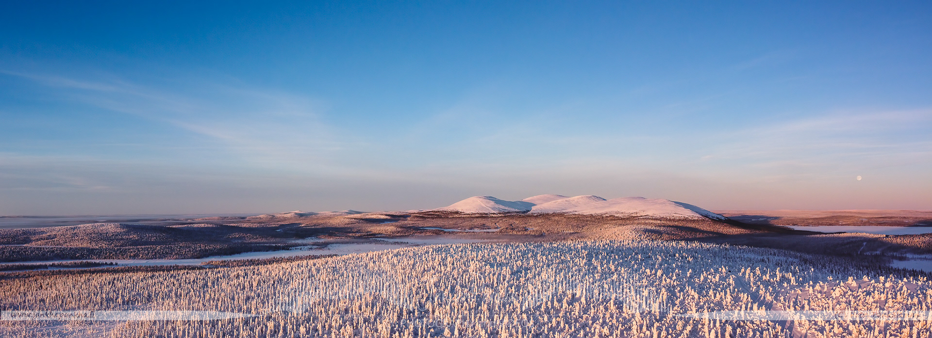 Majestic fells and candle spruces coated with crownsnow under a pastel sunset in Lapland's Pallas-Yllästunturi.