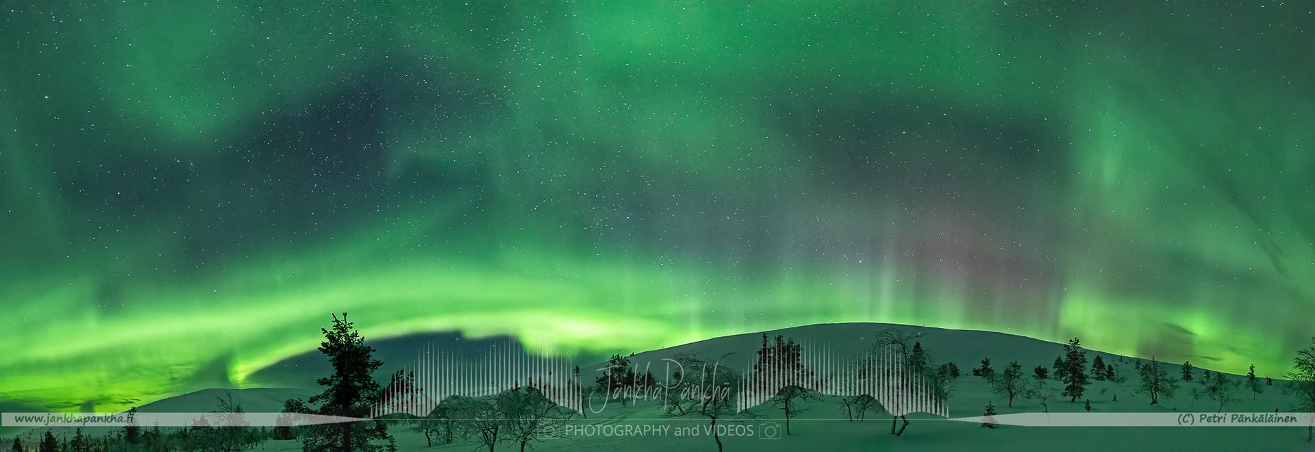 Northern lights over the snowy fell of Pallastunturi and forest in Lapland., Finland. 