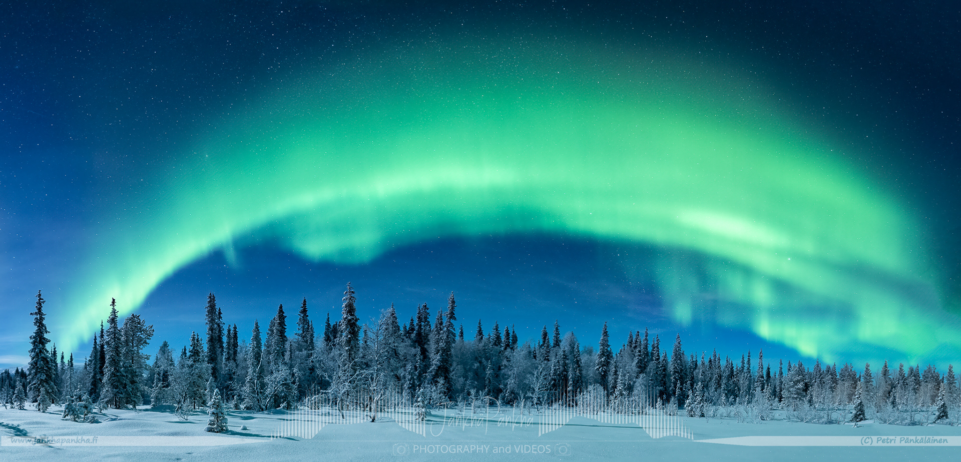 Northern lights over the snowy forest in Raattama, Finland. 