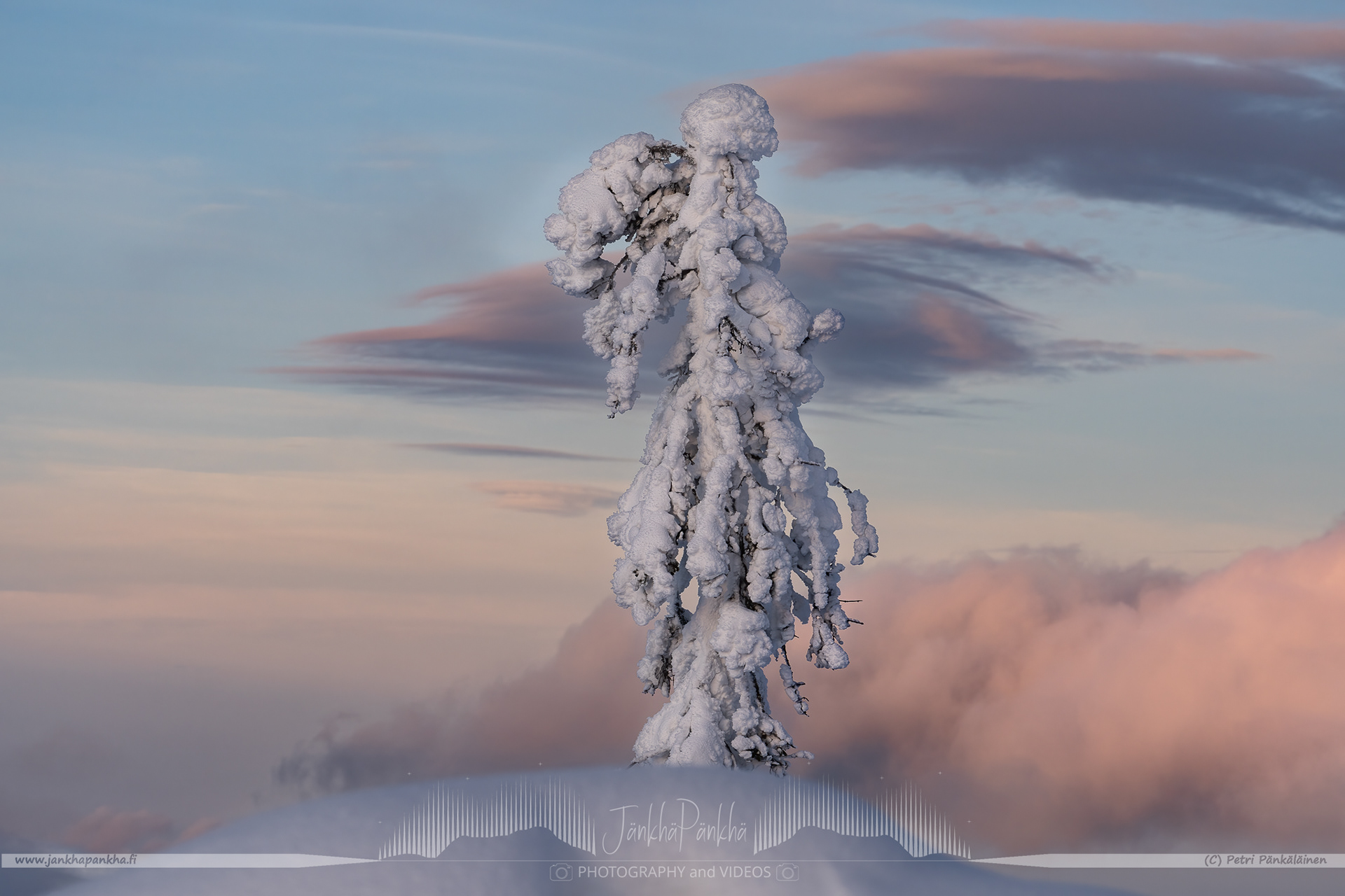 A lonely tree over the clouds reaching out the sky.