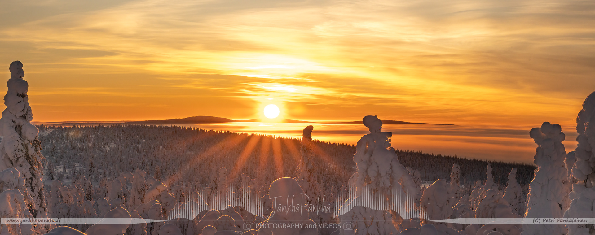 Frozen beauty of Pallas-Yllästunturi National Park with crownsnow-laden candle spruces and a vivid sunset.