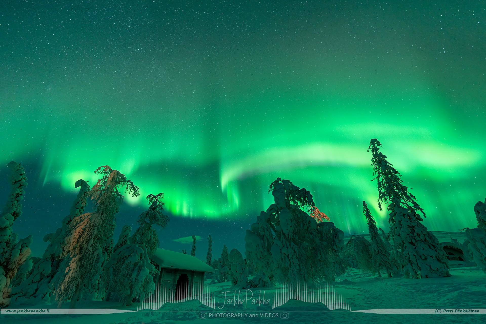 Northern lights over the snowy fell of Pallastunturi and forest in Muonio, Finland. 