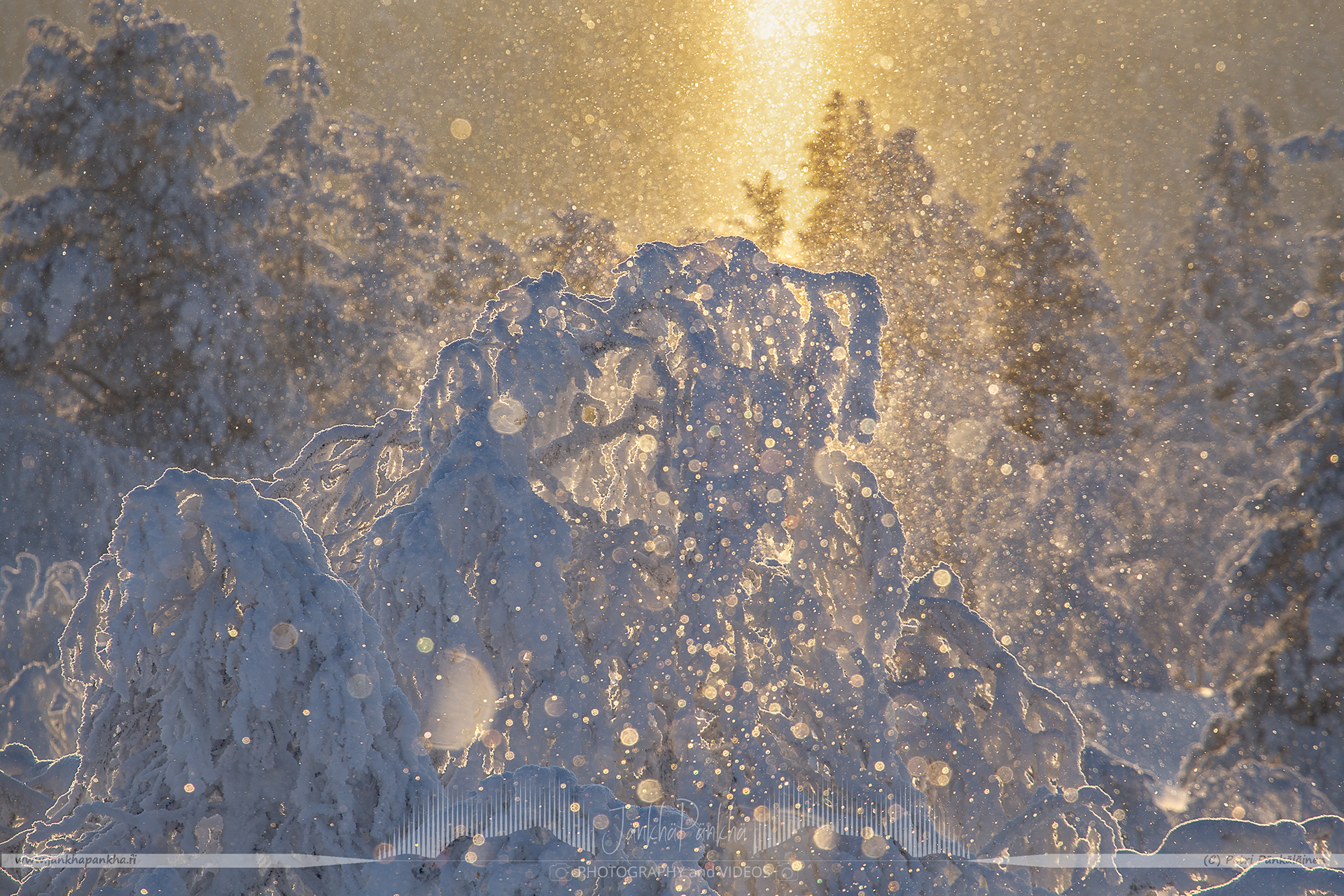 Snowflakes and icy crystals forms golden bubbles during the sunset in Kaunispää, Saariselkä