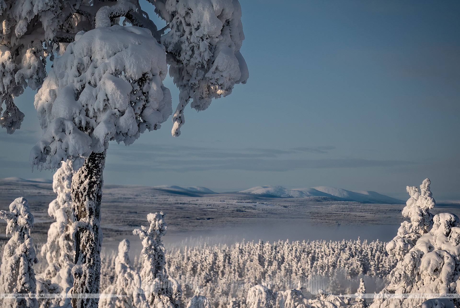 A view from Levitunturi towards the Pallastunturi fell