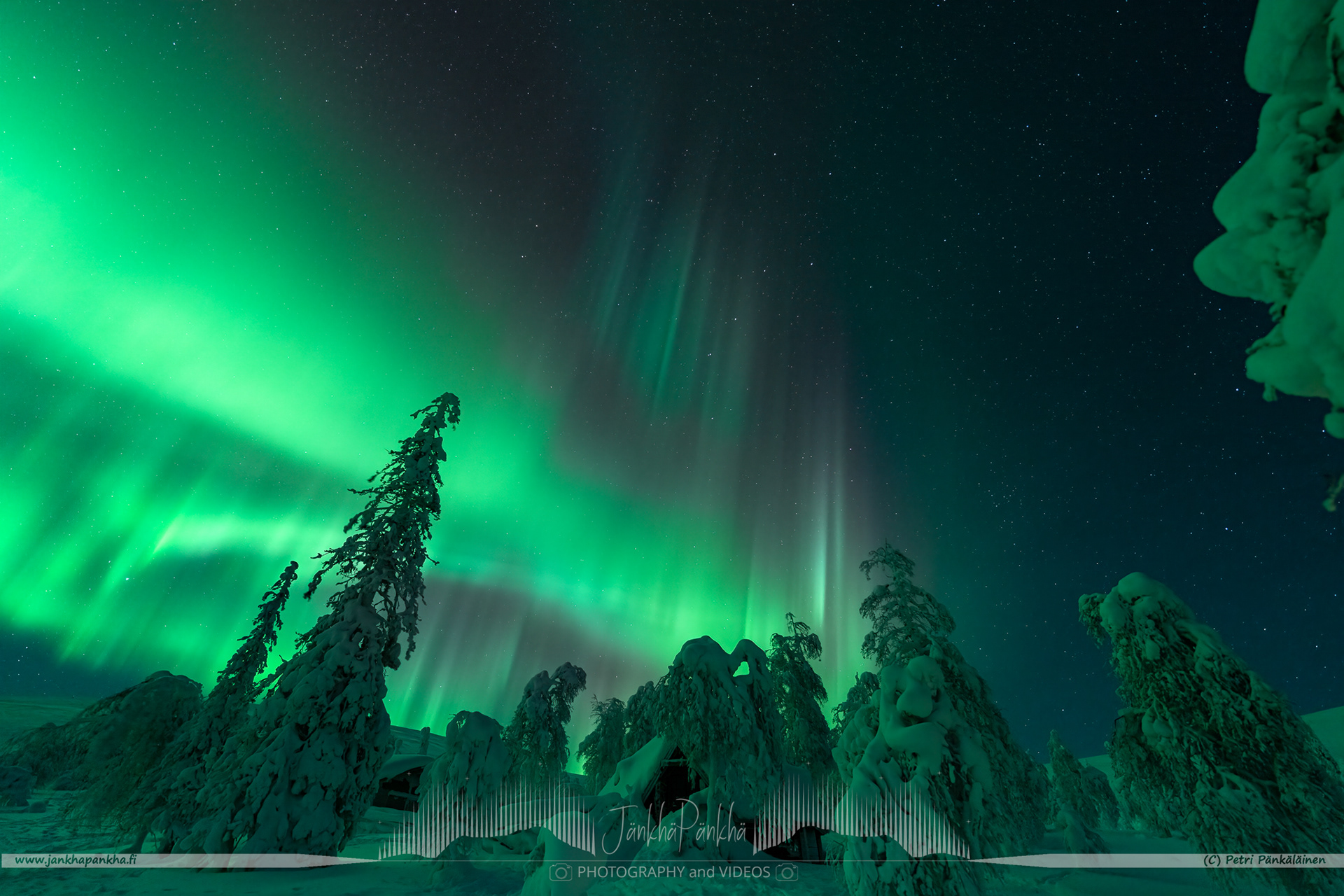 Northern lights over the snowy fell of Pallastunturi and forest in Muonio, Finland. 