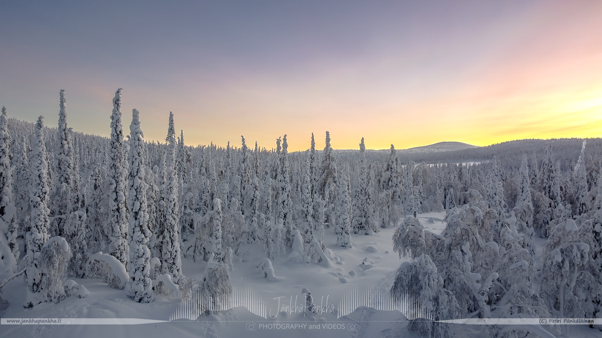 Pastel colors after the sunset nearby the Lommoltunturi fell. The candle spruces are covered with the crown-snow load.