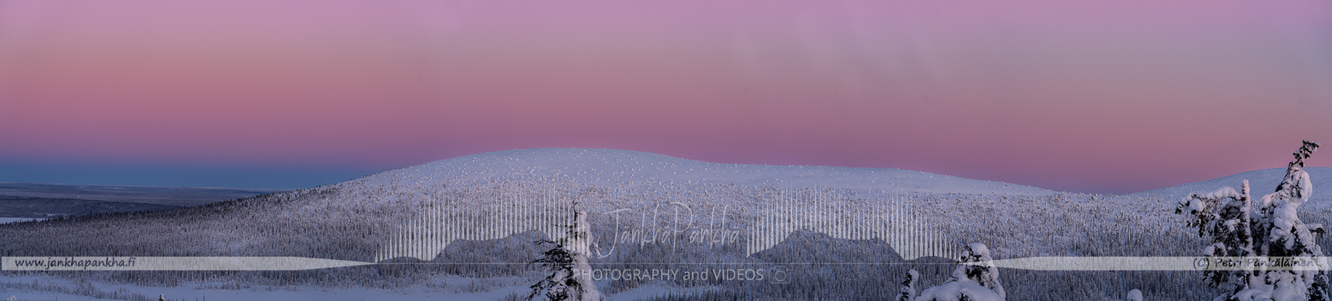 Pastel shades of a winter sunset illuminating the snow-covered fells and candle spruces in Lapland's Pallas-Yllästunturi.