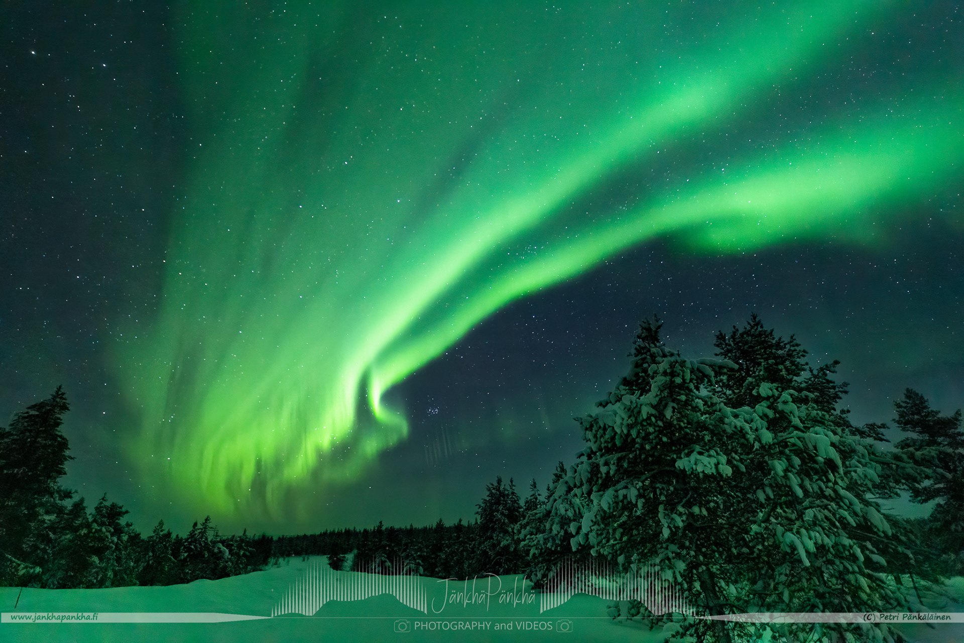 Several green and intense northern lights arcs overhead in Kuttura, Saariselkä in Finland