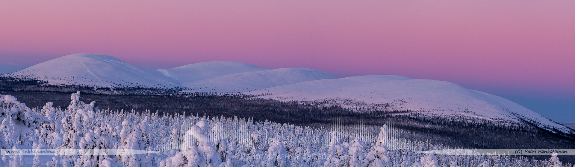 Pastel shades of a winter sunset illuminating the snow-covered fells and candle spruces in Lapland's Pallas-Yllästunturi.