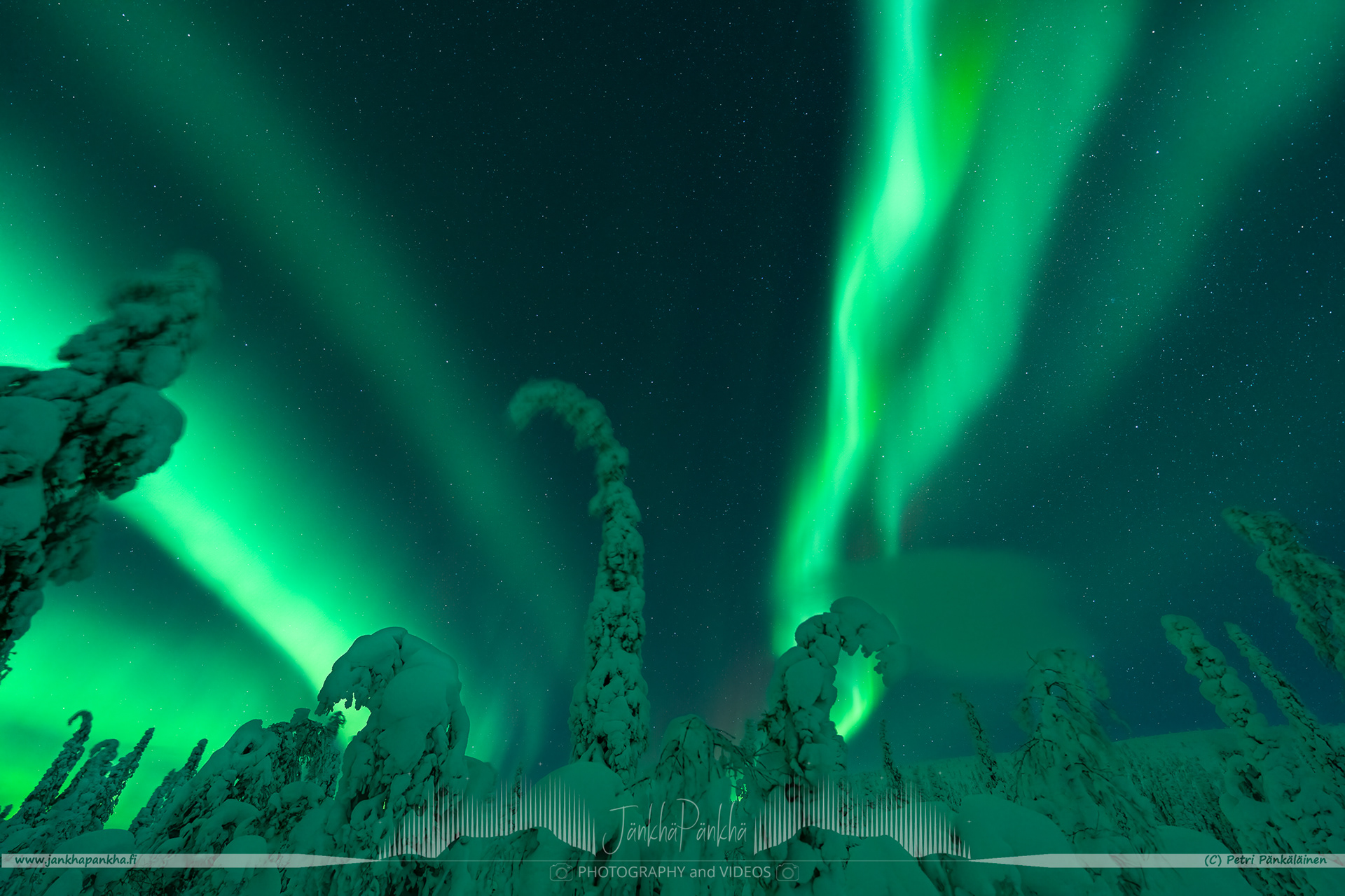 Aurora Borealis over the snowy fell of Lommoltunturi and candle spruce forest in Muonio, Finland. 