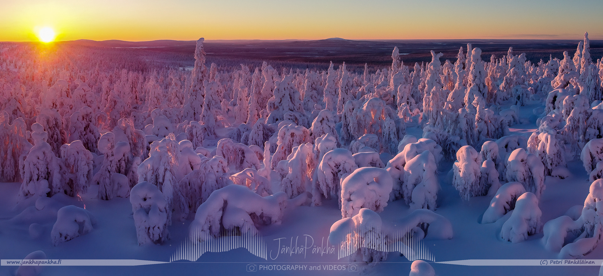 Candle spruces adorned with crownsnow under a breathtaking sunset in Pallas-Yllästunturi National Park, Finland