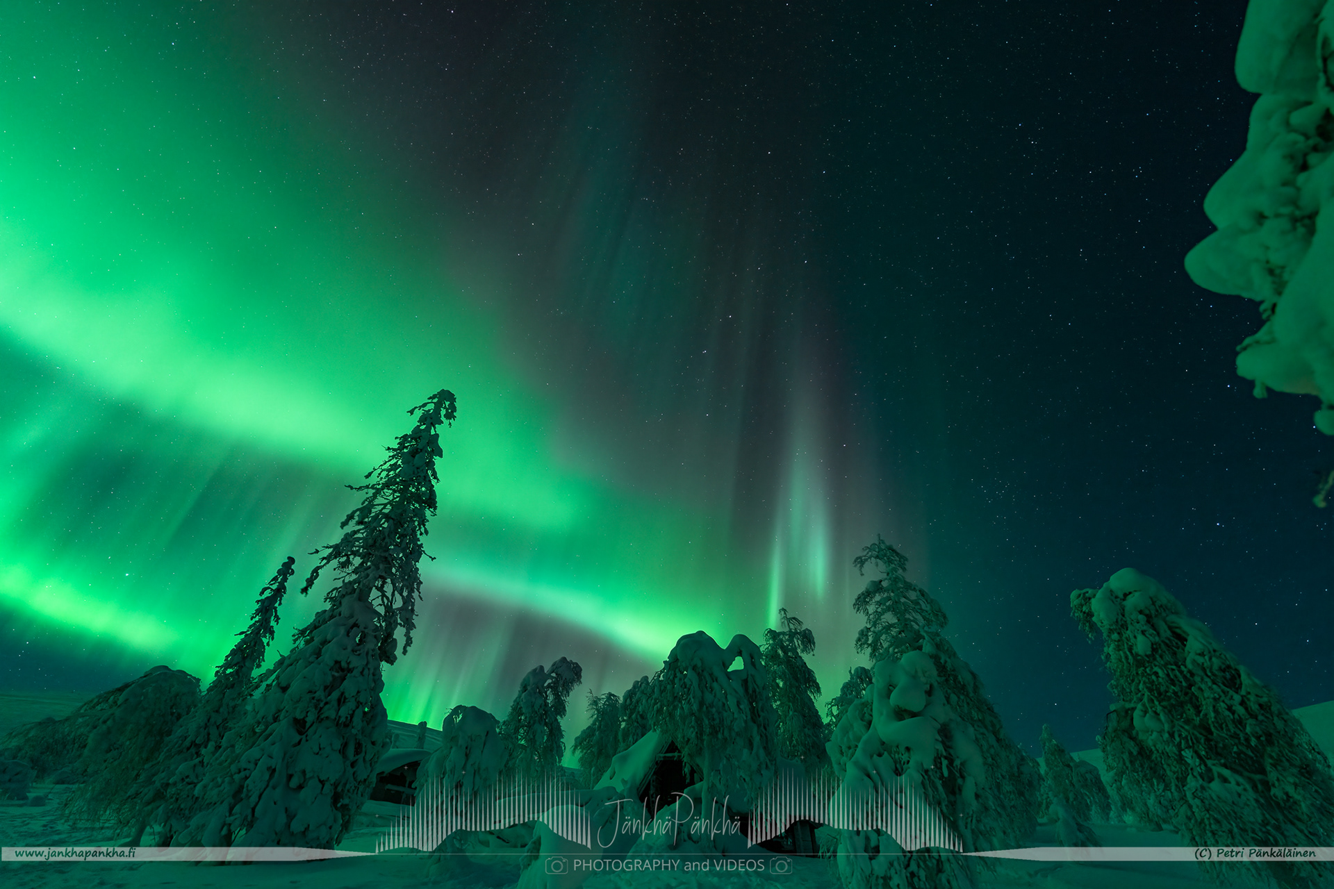 Northern lights over the snowy fell of Pallastunturi and forest in Muonio, Finland. 