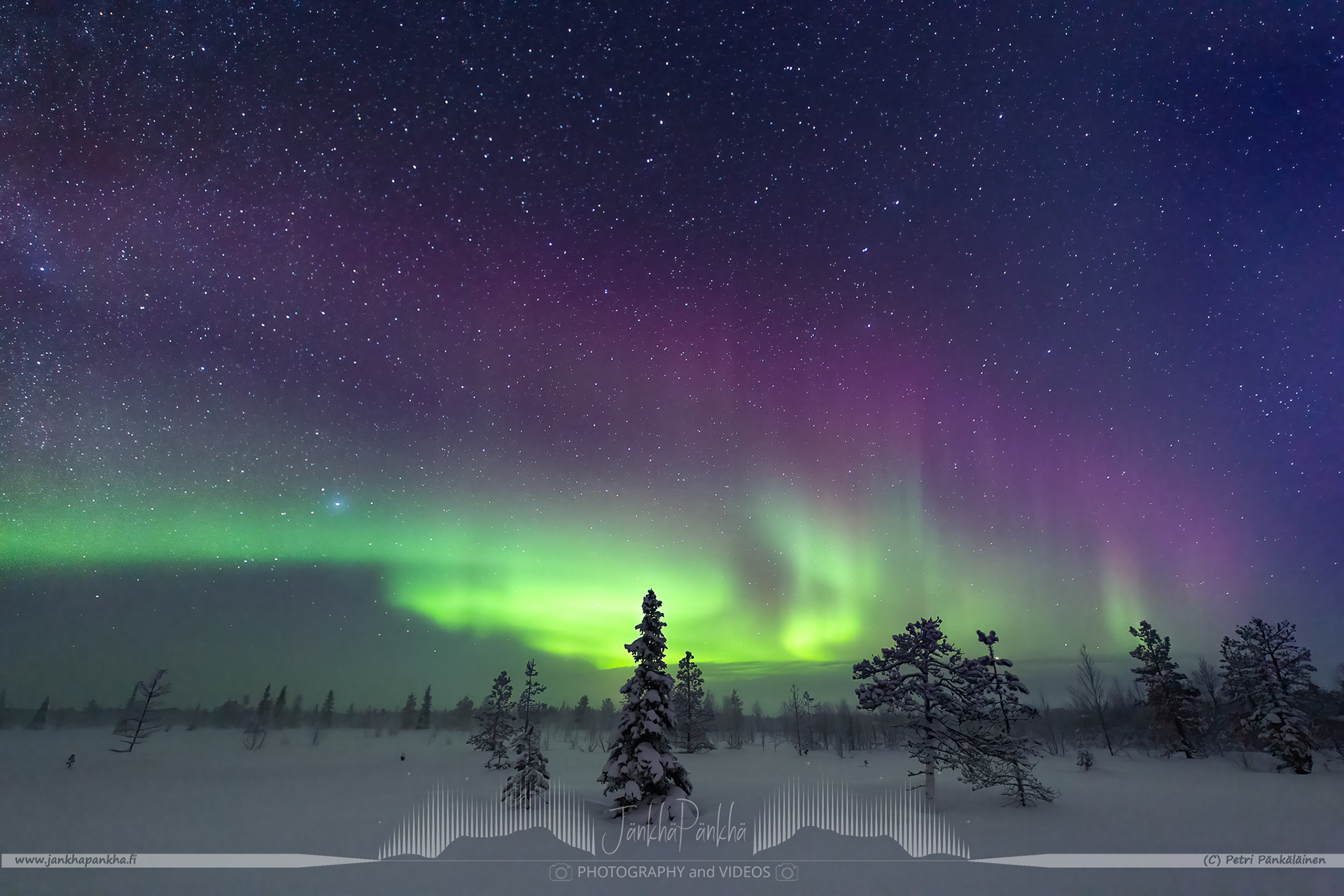 Freezing cold night, high humidity because of the river nearby, with stars on the sky. Beautiful purple and and green aurora borealis moving across the sky in Sodankylä, Finland