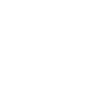 Original version
